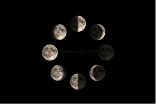 moonfaze-800x534.jpg